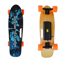 Mini-Electric-skateboard-electric-board-for-skateboarder